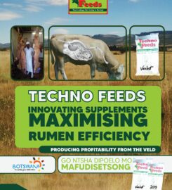 TECHNO FEEDS (PTY) LTD