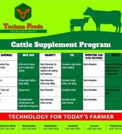 TECHNO FEEDS (PTY) LTD