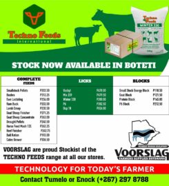TECHNO FEEDS (PTY) LTD