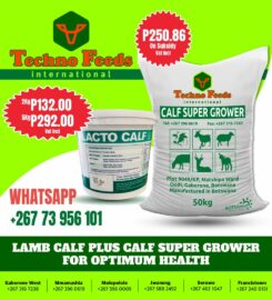 TECHNO FEEDS (PTY) LTD