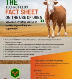 TECHNO FEEDS (PTY) LTD