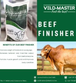 VELD – MASTER